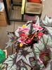 IMG20241021104703