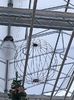 IMG20241104103219