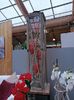 IMG20241104103648