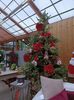 IMG20241104103656