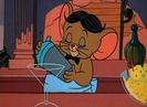 Rock N Rodent