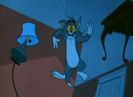 Rock N Rodent