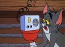 Rock N Rodent