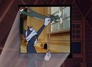Shutter Bugged Cat