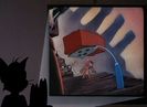 Shutter Bugged Cat