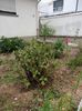 Img.2024.06.29