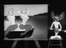 A Lecture On Camoulflage
