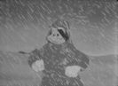 In The Aleutians