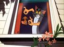 The Cats Me Ouch