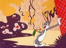 Wackiki Wabbit