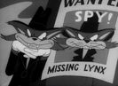 Confusions Of A Nutzy Spy