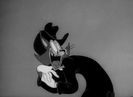 Confusions Of A Nutzy Spy