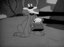Confusions Of A Nutzy Spy