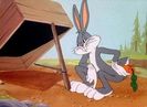 Hare Remover