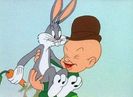 Hare Remover