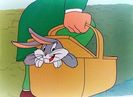 Hare Tonic