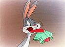 Hare Tonic