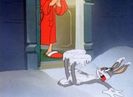 Hare Force