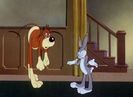 Hare Force