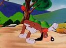 Hare Ribbin