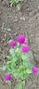 8f883d6b-5b46-48ba-b3ae-21fde013716d-1_all_265