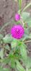 8f883d6b-5b46-48ba-b3ae-21fde013716d-1_all_264