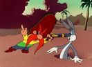 Buccaneer Bunny