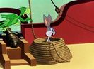 Buccaneer Bunny