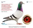 Screenshot_20241229-023716_Chrome