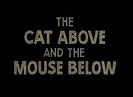 The Cat Above And The Mouse Below