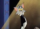 The Cat Above And The Mouse Below