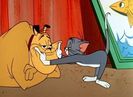 Much Ado About Mousing