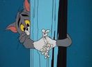 Cat And Duplicat