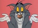 Love Me Love My Mouse