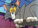 Haunted Mouse