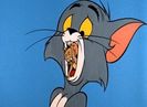Pent House Mouse