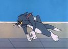 Pent House Mouse