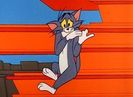 Pent House Mouse