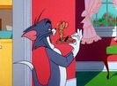 Is There A Doctor In The Mouse