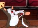 A Tale Of Two Mice
