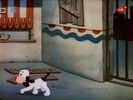 The Curious Puppy