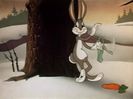 Fresh Hare