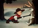 Fresh Hare