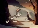 Fresh Hare