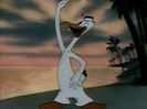 Aloha Hooey