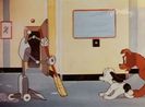 Dog Gone Modern