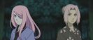 Amaya open collab :3