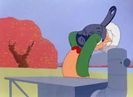 My Favorite Duck