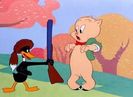 My Favorite Duck
