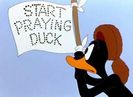 My Favorite Duck